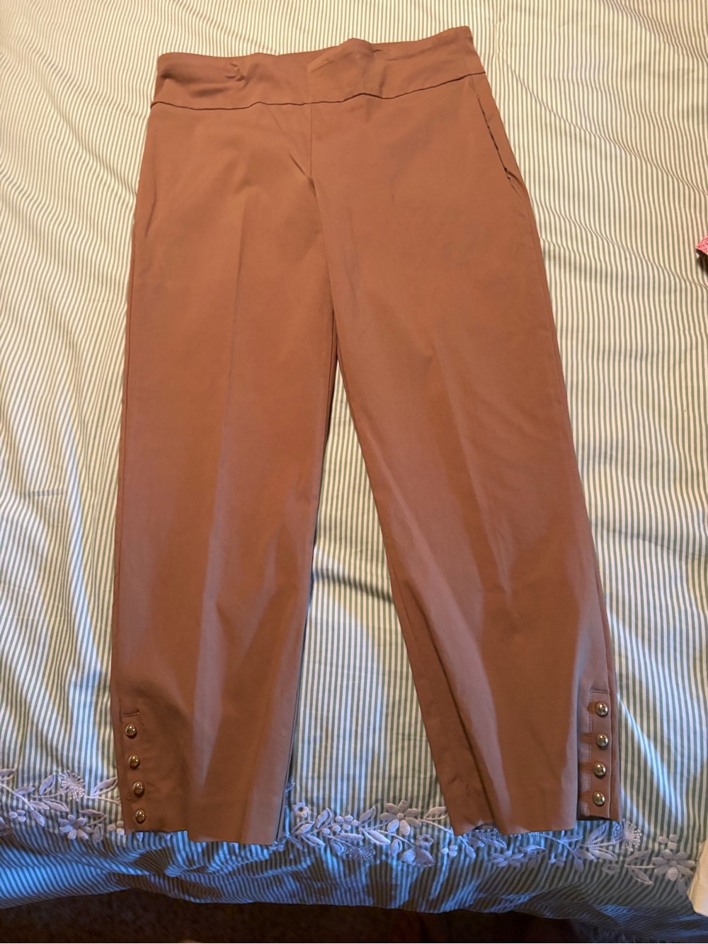 Attyre Cropped Pull-On Pants in Rust